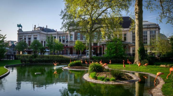 Studio In City Center With Terrace, Netflix - Wifi Antwerpen Kültér fotó
